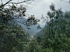 -娄山关景区