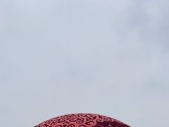 -重庆园博园