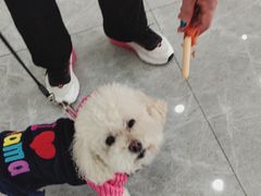 -艾贝尔宠物医院·宠保定点·超声绝育·免疫点(樱花路店)