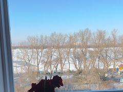 -圣彼得堡观江俄餐厅(中央大街黑金冠店)