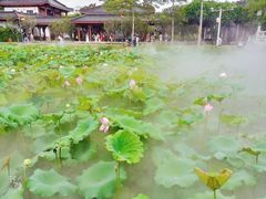 -惠州西湖丰渚园