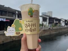 -猫的魔法密林(衣裳街店)