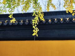 -西园戒幢律寺