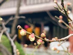 -钱王祠