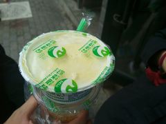 -德禄酸奶(莫家街店)