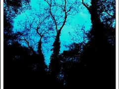 android_upload_pic-沈阳植物园