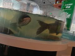 -渔歌子鱼头王(郑州总店)
