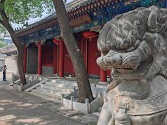 -北京第二实验小学