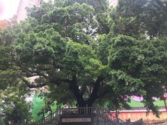 -水围村