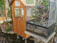 -上海大自然野生昆虫馆(东方明珠·爬宠昆虫探索中心)