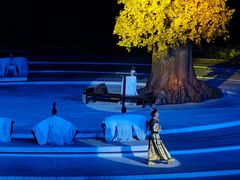 -鼎盛王朝康熙大典实景演出