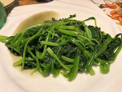 菠菜-印象江南(东栅店)