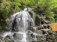 -本溪汤沟绿石谷森林公园