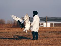 -盐城丹顶鹤湿地生态旅游区