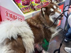 -舜华临武鸭·湖南零食特产(三王街店)