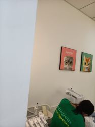 -洗脸猫·洗脸吧
