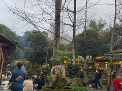 -青城甲(青城山店)