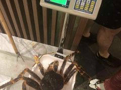 帝王蟹-蟹将军·松叶蟹和牛日料放题自助(K11店)
