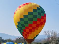 -中国科学院西双版纳热带植物园