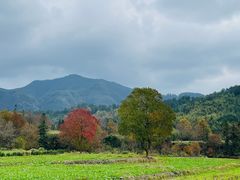 -塔川景区