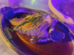 清蒸石斑鱼-钱大妈海鲜饭店(旅游大道店)