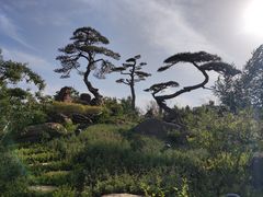 -罗红摄影艺术馆