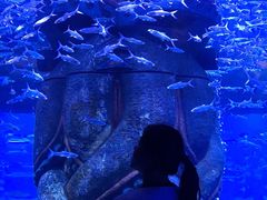 -波塞冬旅游度假区