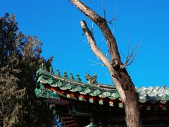 -贤良祠