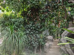 -郑州植物园