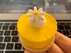 -The Rug Cafe(王府中环店)