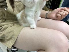 -唐小姐の猫狗洗护·购宠旗舰店(周浦万达店)
