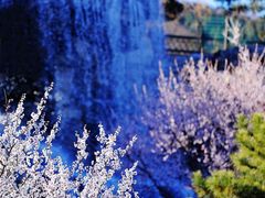 -北京西山国家森林公园