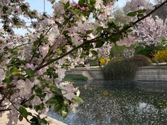 -元大都城垣遗址公园