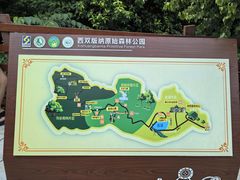 -西双版纳原始森林公园