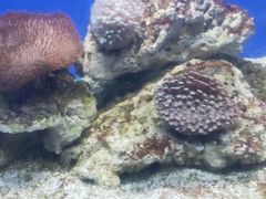 -常州海昌海洋探索馆
