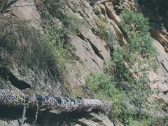 -少华山国家森林公园