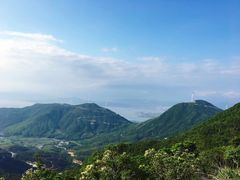-盐洲岛