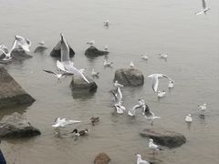 -深圳湾公园(南山区)