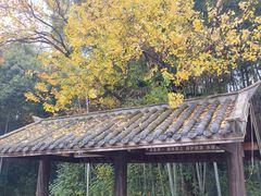 -三国赤壁古战场