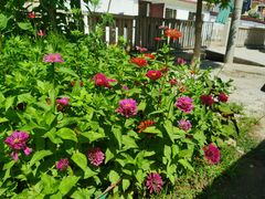 -白河湾山水缘民宿