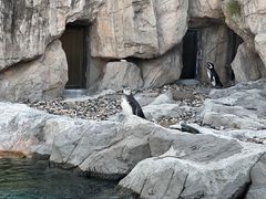 -上海野生动物园