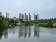 -张坝桂圆林公园