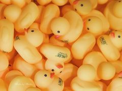 -LINLEE林里·手打柠檬茶(黄浦茂名南路店)