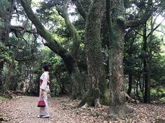 -枫雅和服体验(奈良店)