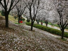 -清凉山国家森林公园