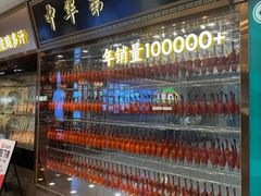 -朱记乳鸽王·非遗石岐乳鸽·全鸽宴(大兴旗舰店)