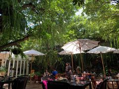 -Fern Forest Cafe