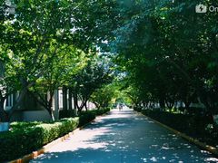 -西安交通大学(雁塔校区)