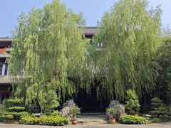 -乐山乌木文化博览苑