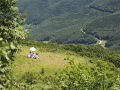 -白草畔自然风景区